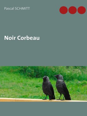 cover image of Noir Corbeau